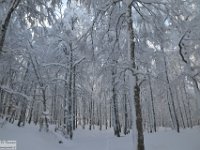 2017-12-29 V. del Morretano 056